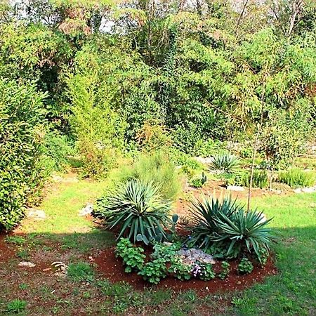 Apartament Jelena Poreč Zewnętrze zdjęcie