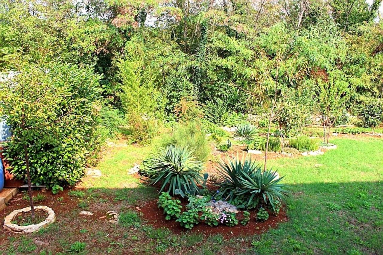 Apartament Jelena Poreč Zewnętrze zdjęcie